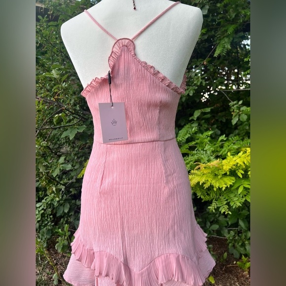 NWT- Hello Molly- Ruffle Layer Mini Dress - Picture 5 of 6